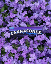 Load image into Gallery viewer, 4 Pack Indicones