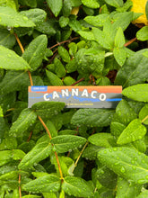 Load image into Gallery viewer, King Size Hemp Rolling Papers