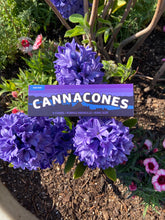 Load image into Gallery viewer, 4 Pack Indicones