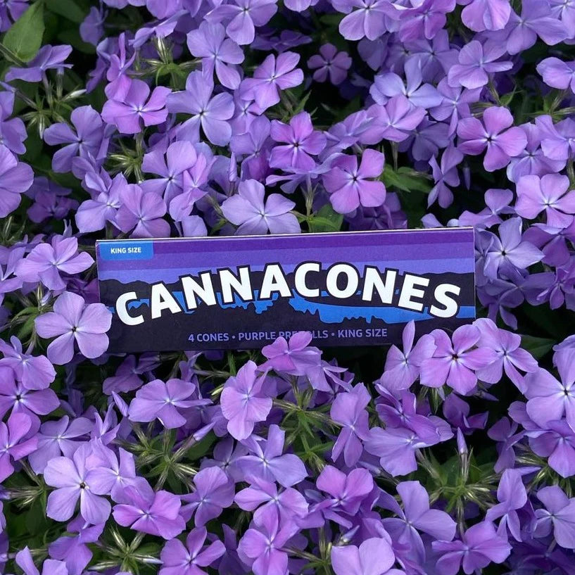 Wholesale – Indicones 4 Pack